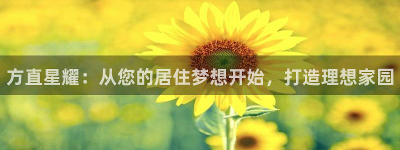 新航娱乐体育代理：方直星耀：从您的居住梦想开始，打造理想家园