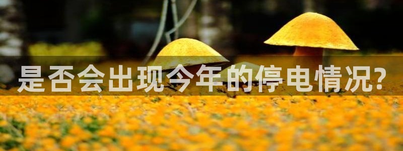 新航娱乐体育用品：是否会出现今年的停电情况?