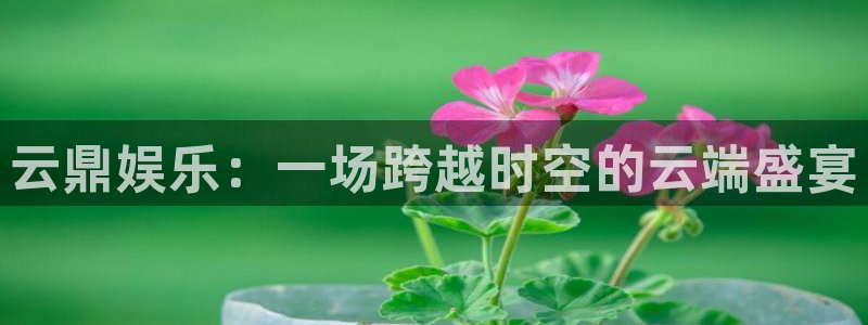 新航娱乐体育热门赛事有哪些：云鼎娱乐：一场跨越时空的云端盛宴