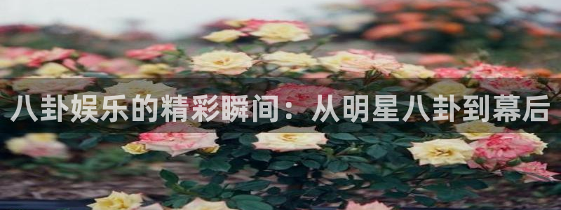 新航娱乐体育凯捷平台代理：八卦娱乐的精彩瞬间：从明星八卦到幕后