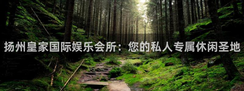 新航娱乐2登录：扬州皇家国际娱乐会所：您的私人专属休闲圣地