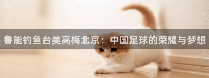新航娱乐平台开户链接：鲁能钓鱼台美高梅北京：中国足球的荣耀与梦想