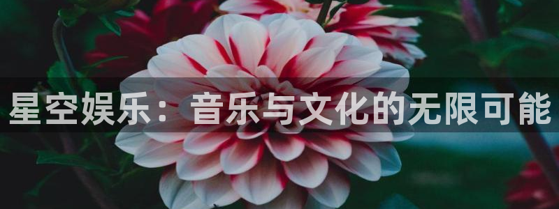 新航娱乐4：星空娱乐：音乐与文化的无限可能