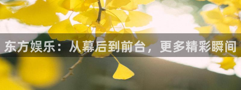 新航娱乐代理注册官网入口：东方娱乐：从幕后到前台，更多精彩瞬间