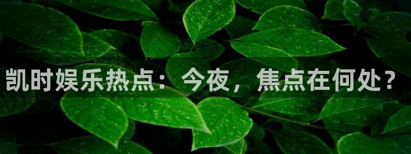 新航娱乐5注册：凯时娱乐热点：今夜，焦点在何处？