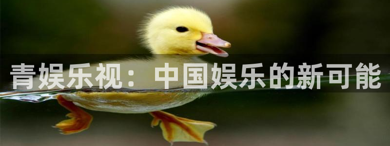 新航娱乐股份：青娱乐视：中国娱乐的新可能