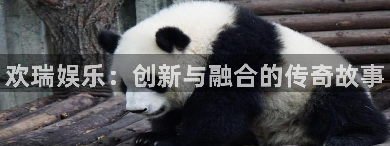 新航娱乐体育网页版入口：欢瑞娱乐：创新与融合的传奇故事