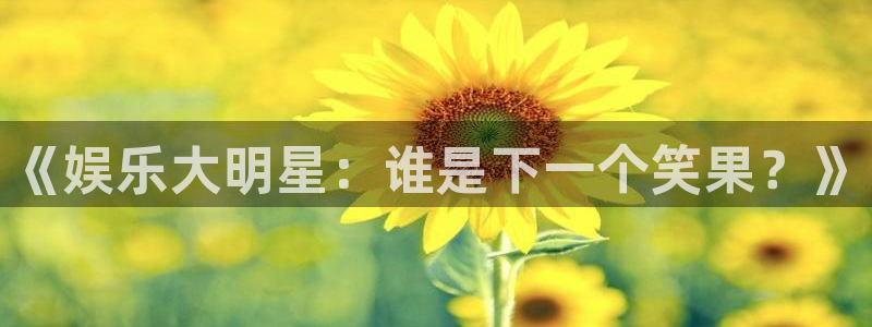 新航娱乐体育：《娱乐大明星：谁是下一个笑果？》