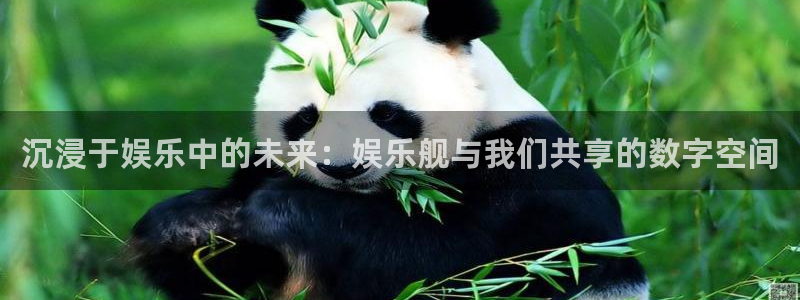 新航娱乐招商：沉浸于娱乐中的未来：娱乐舰与我们共享的数字空间