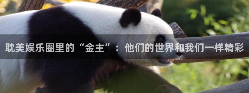新航娱乐体育3：耽美娱乐圈里的“金主”：他们的世界和我们一样精彩