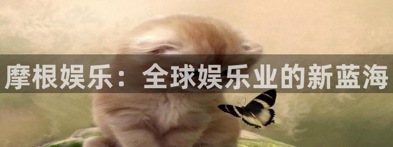 新航娱乐集团官网：摩根娱乐：全球娱乐业的新蓝海