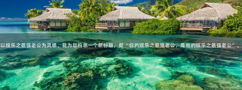 新航娱乐体育3在线注册：以娱乐之最强老公为灵感，我为您构思一个新标题，即“你的娱