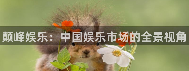 新航娱乐官网注册：颠峰娱乐：中国娱乐市场的全景视角