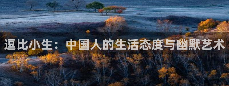 新航娱乐游戏有哪些好玩的：逗比小生：中国人的生活态度与幽默艺术