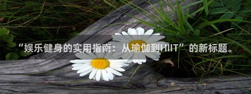 新航娱乐2体育登录入口：“娱乐健身的实用指南：从瑜伽到HIIT”的新标题。