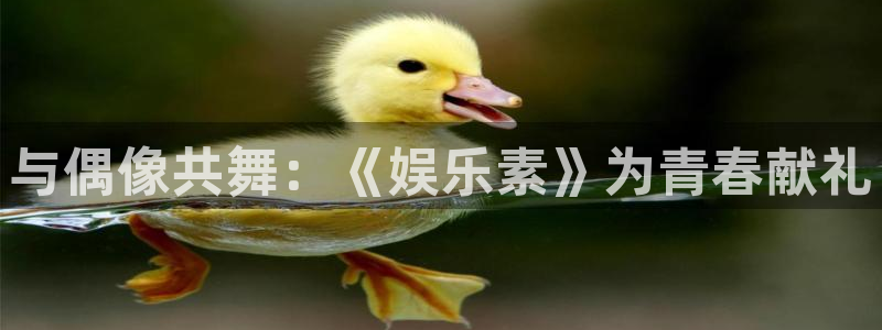 新航娱乐2官网：与偶像共舞：《娱乐素》为青春献礼