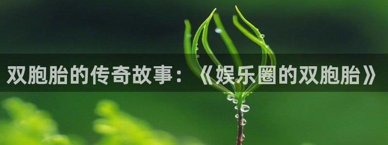 新航娱乐体育平台总代理：双胞胎的传奇故事：《娱乐圈的双胞胎》