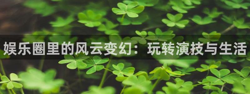 新航娱乐3